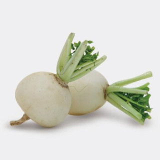 【鲜特莱根茎蔬菜】鲜特莱 企业餐饮装 大头圆白萝卜 1kg【报价 价格