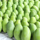 越南进口青皮芒果新鲜水果玉芒带箱9.5-10斤当季新鲜大芒果 净重3斤 大果单果250-500g