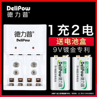 德力普（Delipow） 充电电池 9V/9伏电池充电器套装 镍氢电池适用万用表/麦克风/话筒 充电器+4节电池
