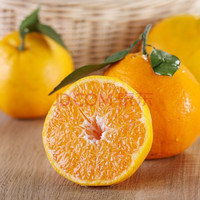 绿养道 四川青见柑橘子 5斤净重 单果200g+