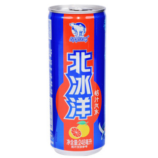 北冰洋 冰丝带纪念款桔汁汽水 碳酸饮料 248ml*24罐