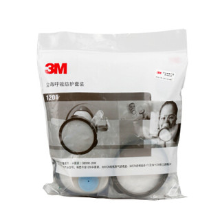 3M 1201 尘毒呼吸防护套装 喷漆油漆工业粉尘防护面罩化工气体防异味口罩10套/箱