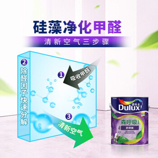 多乐士（Dulux）A8110+A931竹炭森呼吸无添加硅藻抗甲醛全效 内墙乳胶漆 油漆涂料 墙面漆白色套装15L