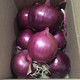 赣馨园 精选紫皮洋葱 5斤
