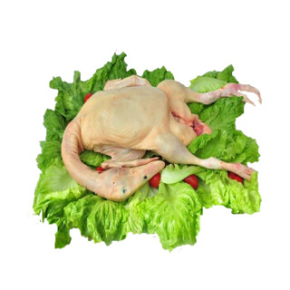 鲜特莱 企业餐饮装 仔鸭1kg