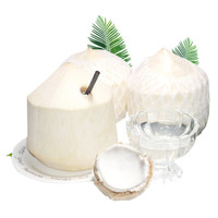 静益乐源 椰青 9个装 单个约1-1.5kg