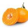 三苏农家 眉山枇杷柑 丑橘 净重2.25kg 中果 12-16个