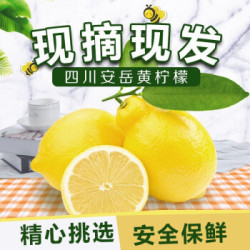 水果蔬菜 安岳黄柠檬 特级大果200g~350g 5斤装
