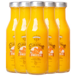 锦康源 沙棘汁饮料生榨果汁 290ml*4瓶装 *2件