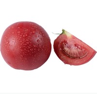 佑嘉木 顺丰包邮 普罗旺斯西红柿新鲜水果番茄10大番茄蔬菜沙瓤自然熟5斤