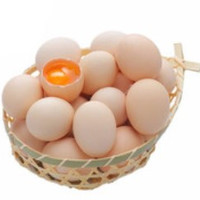 保卫蛋蛋 土鸡蛋 40枚