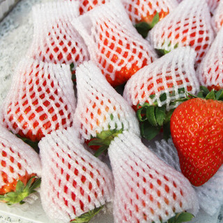 立兴鲜果 牛奶草莓 大果 1.5kg