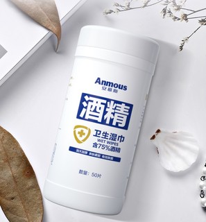 Anmous 安慕斯 酒精消毒湿巾 50片*2（165*200mm)