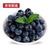 漫哆味 云南新鲜蓝莓 125g*4盒