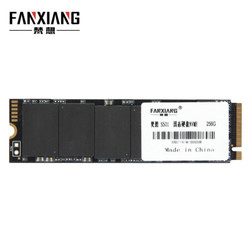 梵想（FANXIANG）256G SSD固态硬盘 M.2接口(NVMe协议) S501系列