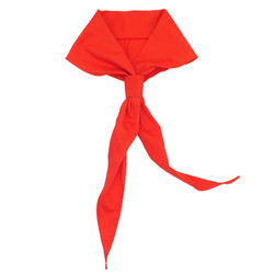 飞雨 小学生纯棉红领巾 1.2米 5条