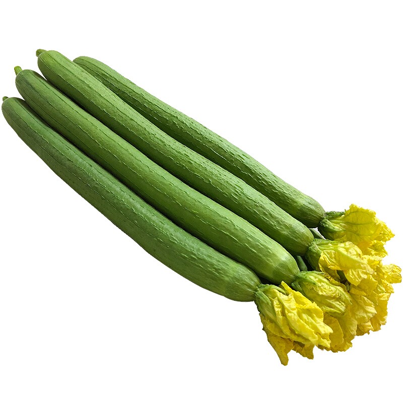 芬果时光新鲜绿皮丝瓜净重2500g