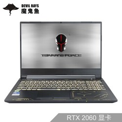 TERRANS FORCE 未来人类 DR520 15.6英寸游戏笔记本电脑 (i7-10750H、16GB、256GB+1TB、RTX 2060、144Hz）
