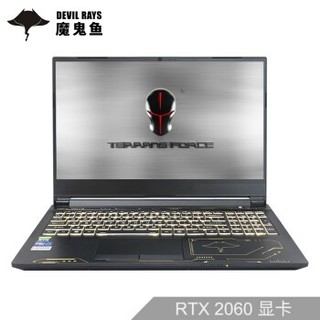 TERRANS FORCE 未来人类 DR520 15.6英寸游戏笔记本电脑 (i7-10750H、RTX 2060、16G 256G+1T、144Hz）