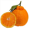 龙烜 不知火丑橘子 4.5kg 20-24颗