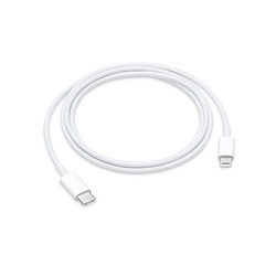 苹果Apple 原装USB-C 转闪电连接线 iPad Pro原装数据线 *9件