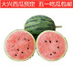  北京大兴庞各庄小西瓜秀珍西瓜新鲜水果现摘包邮2个装总重3kg-3.5kg　