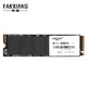 FANXIANG 梵想 S501 NVMe M.2 SSD固态硬盘 1TB