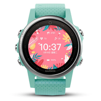GARMIN 佳明 fenix 5s 智能心率表 普通款