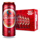 KINGFISHER 翠鸟 印度进口啤酒     500mL*24听