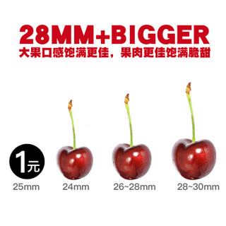 youguoy 优果优 智利进口 车厘子 1kg 单果28-30mm JJ级