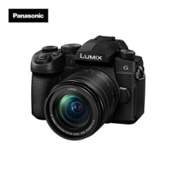 Panasonic 松下 G95 微单数码相机 套机(12-60mm F3.5-5.6 标准变焦镜头)