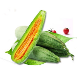 现摘博洋61号羊角蜜甜瓜约5斤装