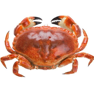 面包蟹多少钱一斤_面包蟹价格_什么值得买