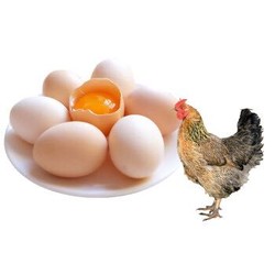 柴鸡蛋 鲜鸡蛋 草鸡蛋天然谷物喂养 鸡蛋10枚 *4件