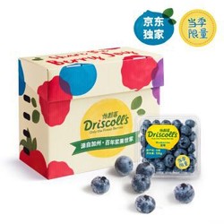 Driscoll's 怡颗莓  超大果 云南蓝莓原箱 125g*12盒