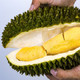 马来西亚进口 猫山王榴莲 1.8-2.1斤