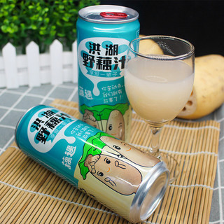 HONGHU NONGJIA 洪湖农家 洪湖野藕汁 310ml*12瓶