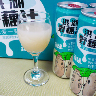 HONGHU NONGJIA 洪湖农家 洪湖野藕汁 310ml*6瓶