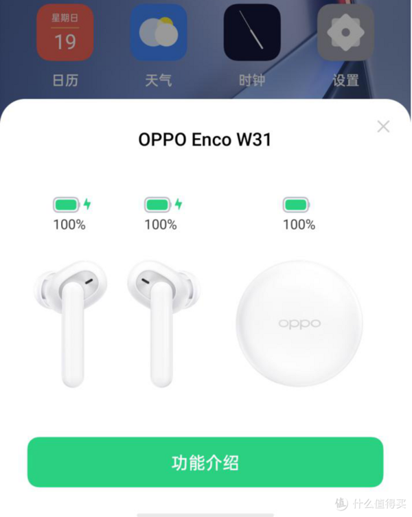 OPPO Enco W31 真无线蓝牙耳机