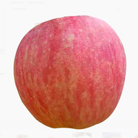 碧优果 山西红富士 丑苹果 5kg(带箱 18个)