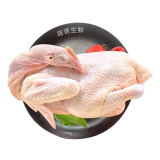 现宰三黄鸡750g±整只+鹌鹑5只装*2（整单低至3.4折）