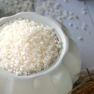达米食代 天猫超市定制 珠玉香米 珍珠米 10kg