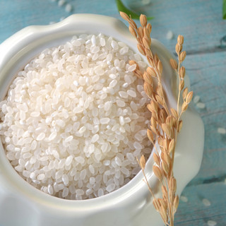 达米食代 天猫超市定制 珠玉香米 珍珠米 10kg
