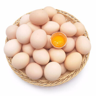 静益乐源 散养土鸡蛋 40枚