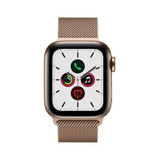 Apple Watch Series 5智能手表（GPS+蜂窝网络款 40毫米金色不锈钢表壳 金色米兰尼斯表带 MWX72CH/A)