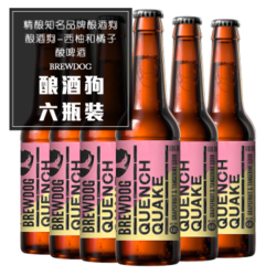 BREWDOG 酿酒狗/ 布鲁多格/精酿啤酒体验馆】 西柚和橘子酸艾尔6支装 *6件