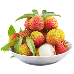 果缤纷 优级海南妃子笑荔枝500g *5件
