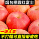 山东烟台红富士苹果新鲜精选大果5斤一级大果精品栖霞苹果
