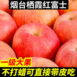山东烟台红富士苹果新鲜精选大果5斤一级大果精品栖霞苹果