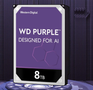 Western Digital 西部数据 紫盘系列 3.5英寸监控级硬盘 8TB 256MB(7200rpm、PMR)WD82EJRX